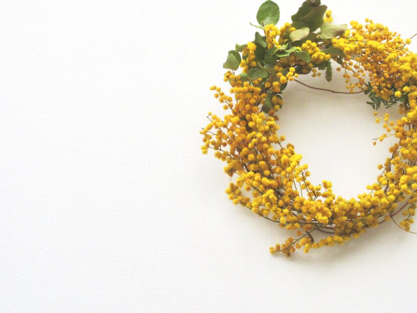 ミモザユーカリのリース ( m )