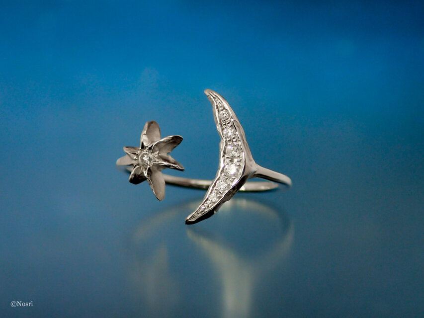 月と星のリング ダイヤモンド | iichi 日々の暮らしを心地よくする