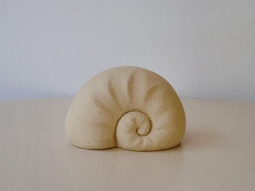 アンモナイトのカード立て