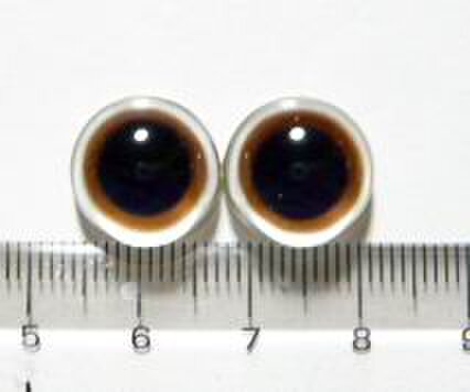 にゃんこのおめめ○半球グラスアイ○猫目○14mm〇14022