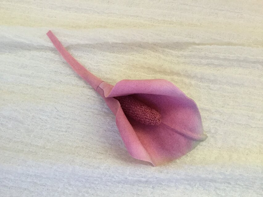 カラー(ピンク)