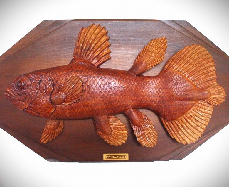 【美品】61cm シーラカンス（樹脂製）fish craft REAL製作 美品】61cm シーラカンス（樹脂製）fish craft REAL製作 Yahoo