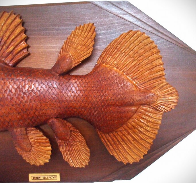 ☆シーラカンスの幼魚☆木彫りレリーフ☆ | iichi 日々の暮らしを
