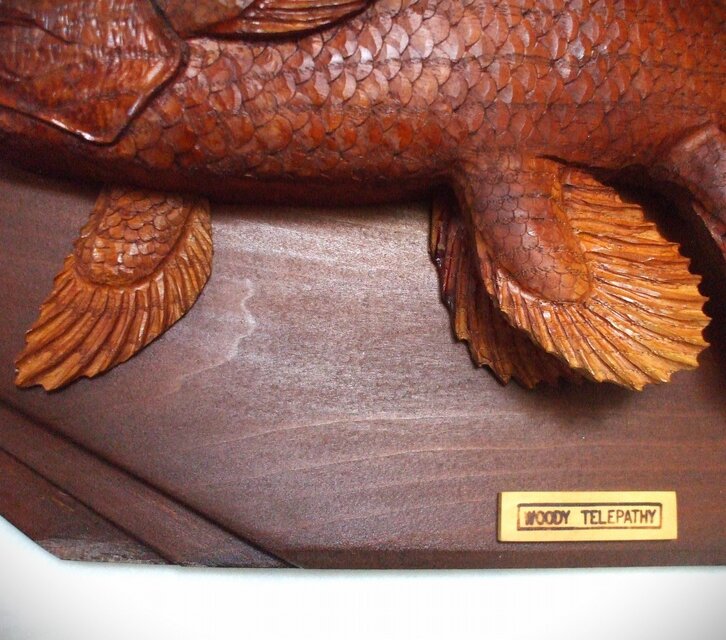 ☆シーラカンスの幼魚☆木彫りレリーフ☆ | iichi 日々の暮らしを