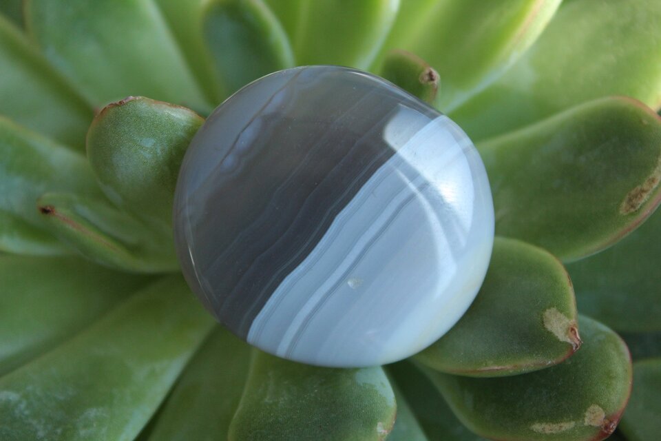 ブルーグレーカルセドニー　パームストーン