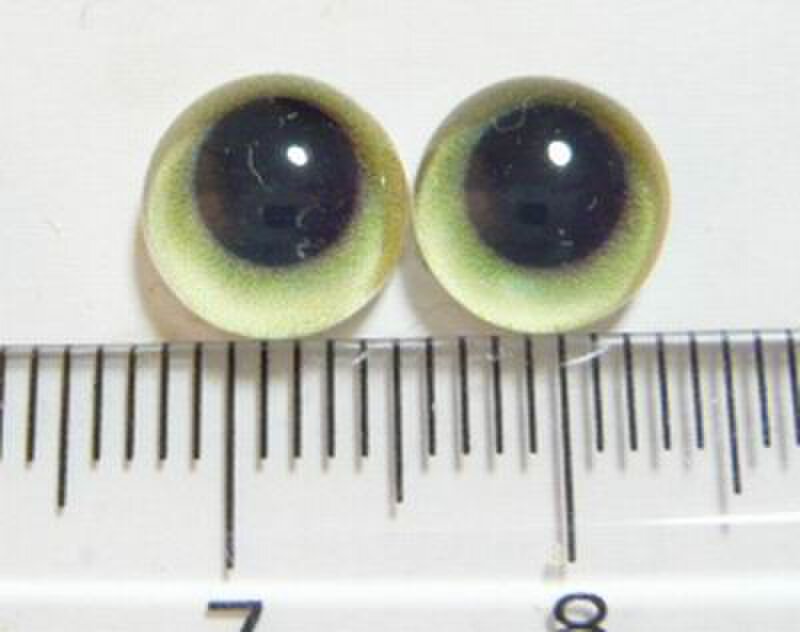 にゃんこのおめめ○半球グラスアイ○猫目○8mm○08089