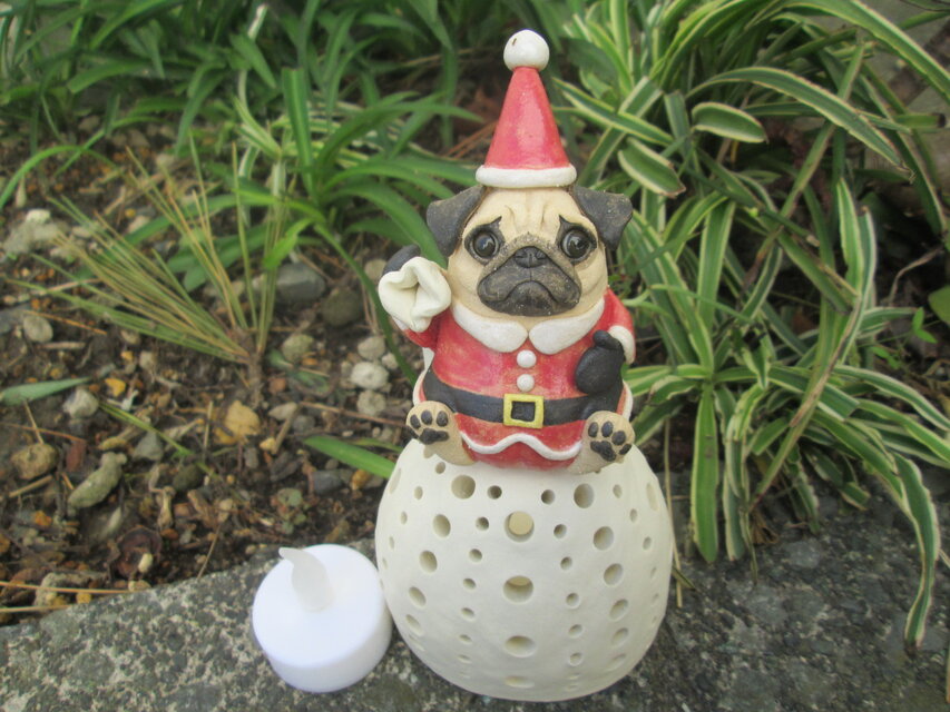 サンタランプ★パグ①