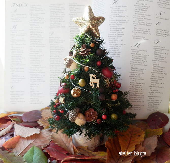 八ヶ岳〜八ヶ岳〜2019静かな森のChristmas⭐️Tree002