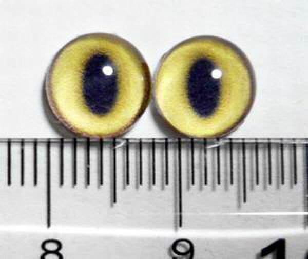 にゃんこのおめめ○半球グラスアイ○猫目○8mm○Y310
