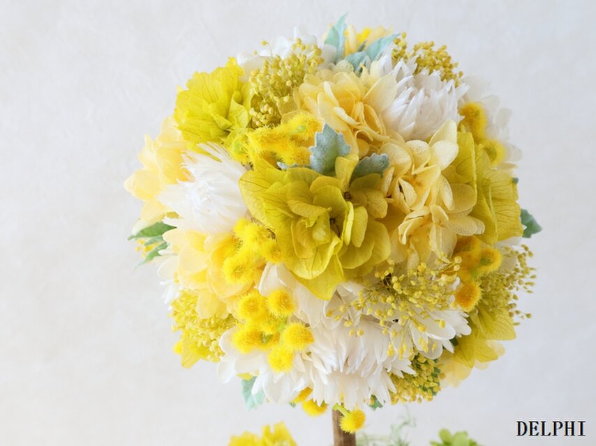 ミモザと紫陽花のトピアリー（花かごに摘んで）【プリザーブド