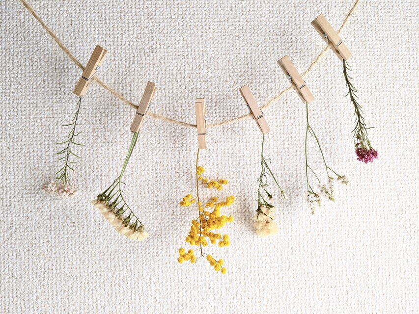 自家栽培ハーブのミモザとスターチスとライスフラワーの小さなフラワーガーランド