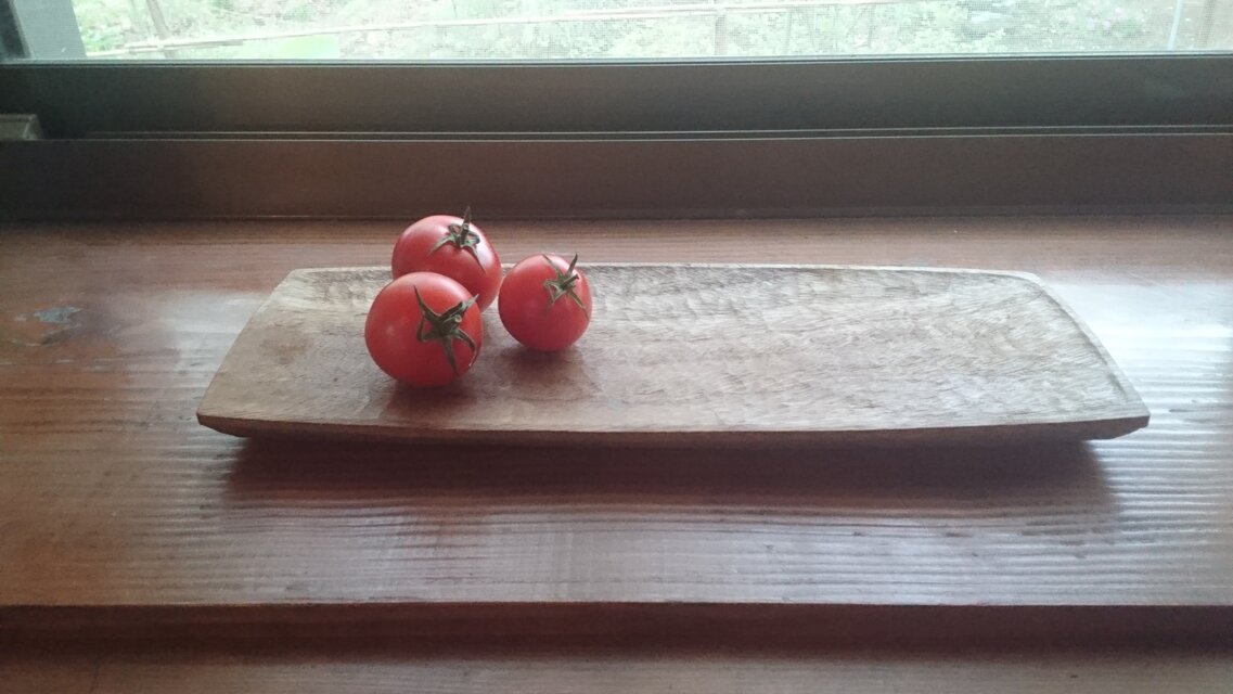 2020/05/10 盛り皿