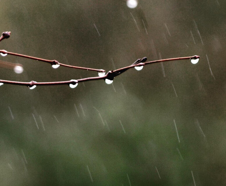 雨粒ピアス (揺れる) 。。。（フックピアス、イヤリング