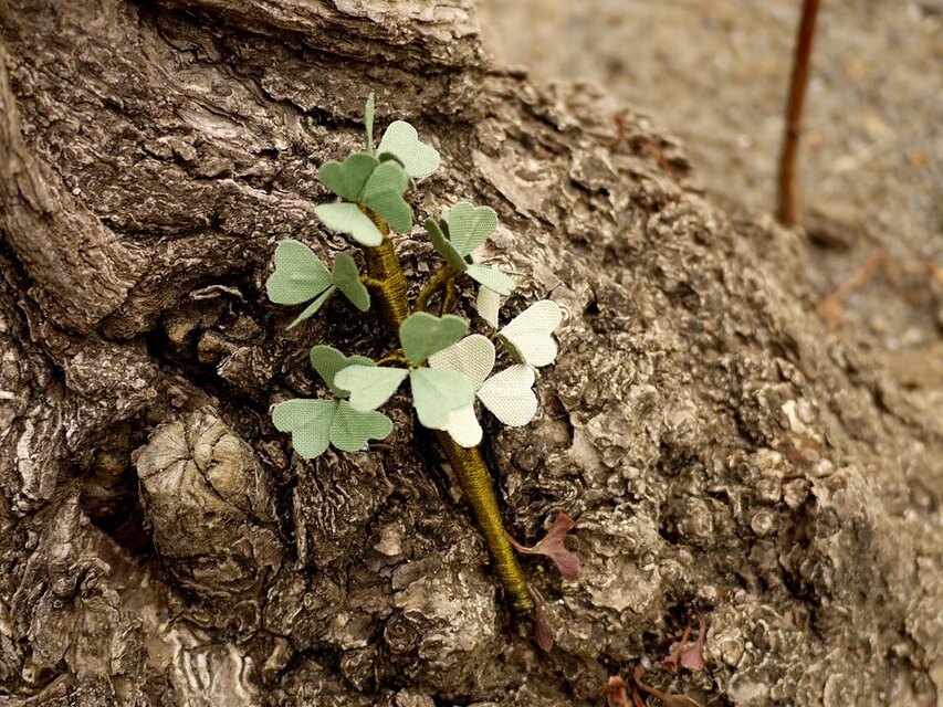 50％オフセール【花言葉は愛、希望、信頼】三つ葉のクローバーのコサージュ・ブローチ（2色）