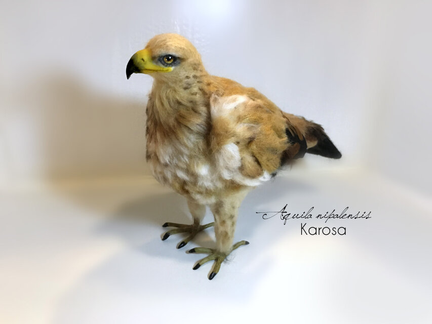 受注制作】2way 鷲 ワシ 古代アフリカ草原ワシ 黒と金の羽 羊毛