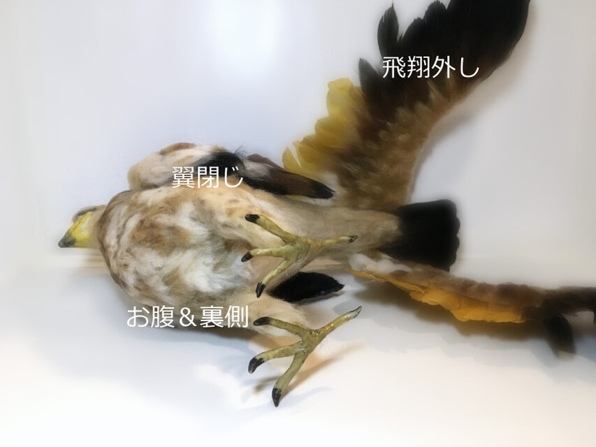 受注制作】2way 鷲 ワシ 古代アフリカ草原ワシ 黒と金の羽 羊毛