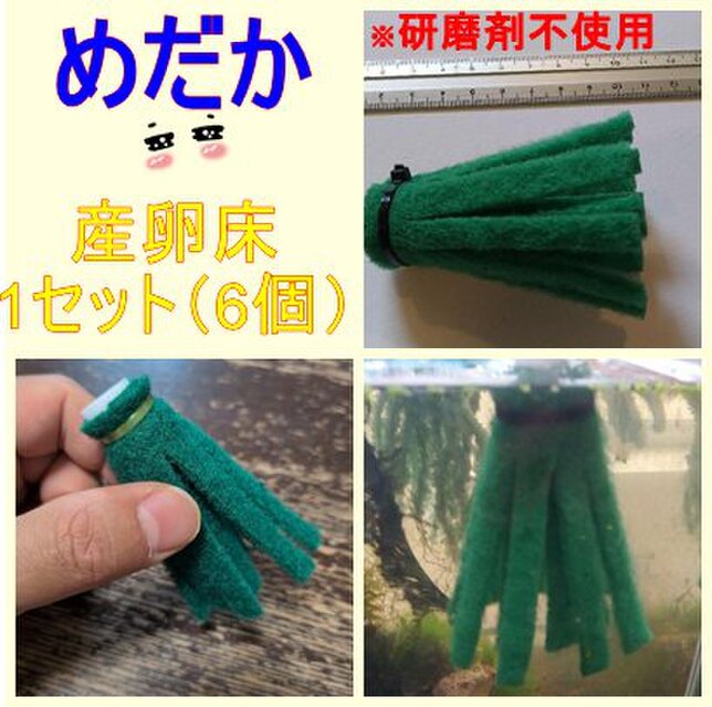 メダカ 産卵床(白) ※研磨剤不使用 | iichi 日々の暮らしを心地よくする