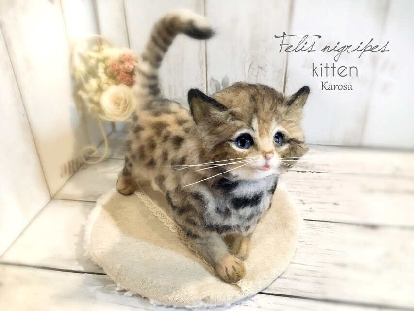 可動 ポーズを変えられる クロアシネコ 赤ちゃん 子猫 世界最小の猫 ...
