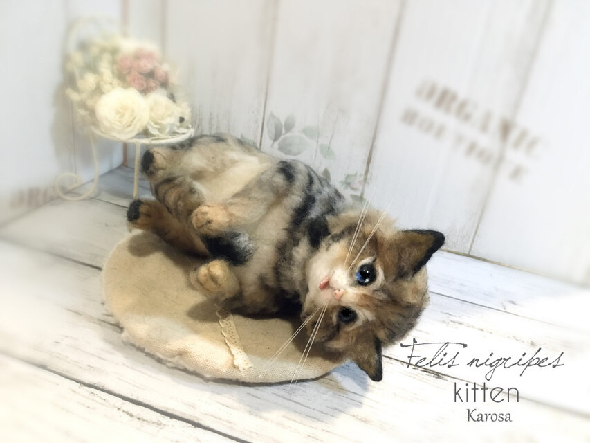可動 ポーズを変えられる クロアシネコ 赤ちゃん 子猫 世界最小の猫