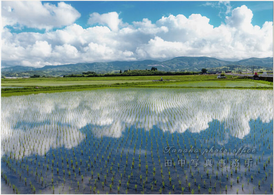雲の映り込んだ水鏡の田(2Lサイズ) LP0507-2L