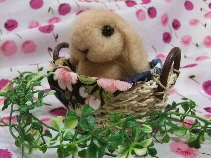 かご入りうさぎ　