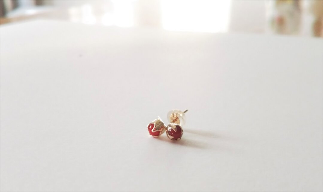 K10  ツルウメモドキのピアス