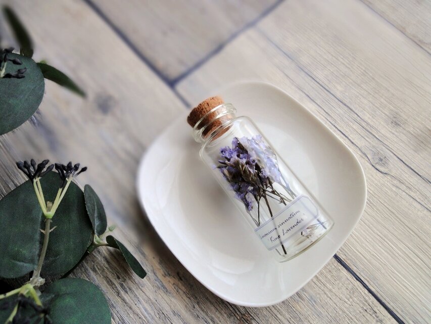 植物標本　Botanical Collection ■ No.2　スターチス　キノラベンダー