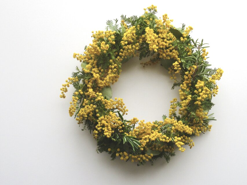 ミモザリース＊D