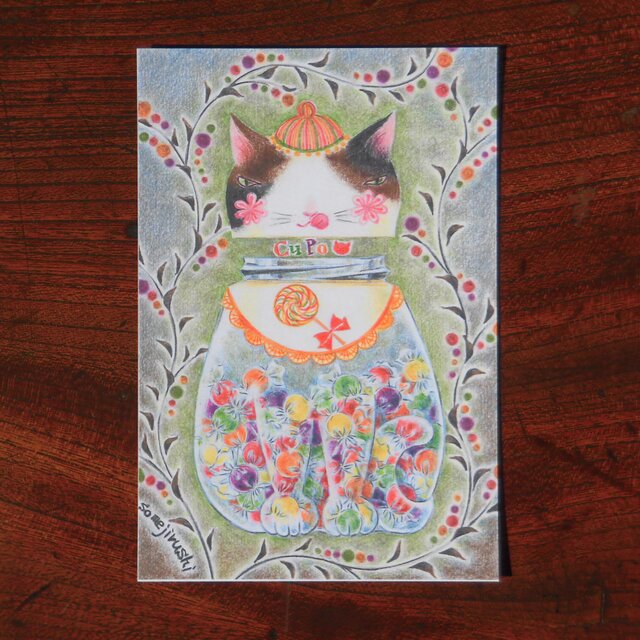 ポストカード2枚セット ＊キャンディボックス猫＊