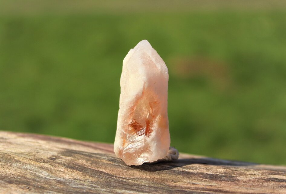 ピンクドリームサイクルレムリアン