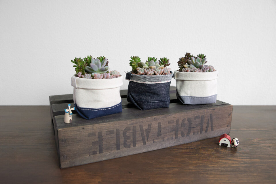 職人鉢 多肉植物 サボテンにも 多肉植物工房 花安 | 10/6(月)、10/7(火)は定休日です。10/8(水