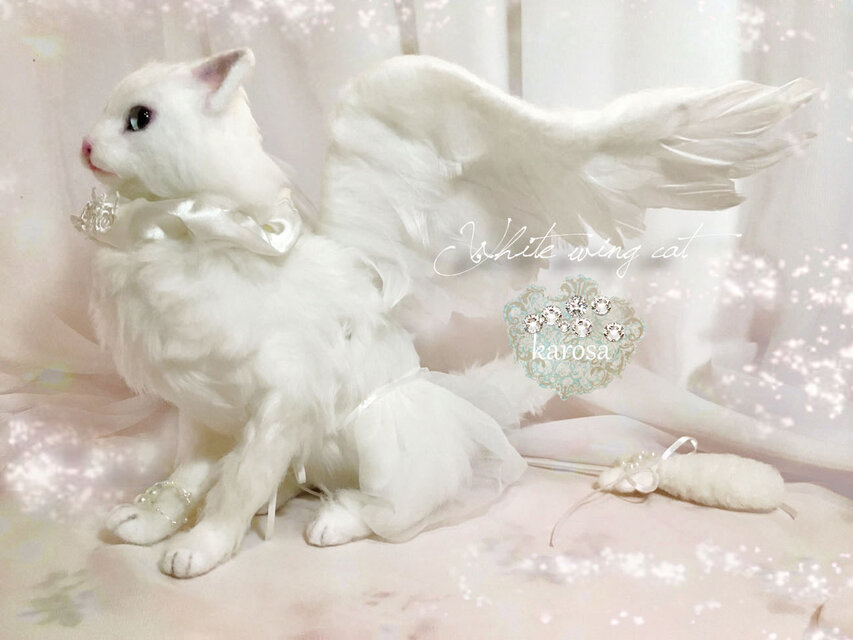 Aさまセミオーダー Tちゃん 美猫さん ホワイトウィングキャット 白猫