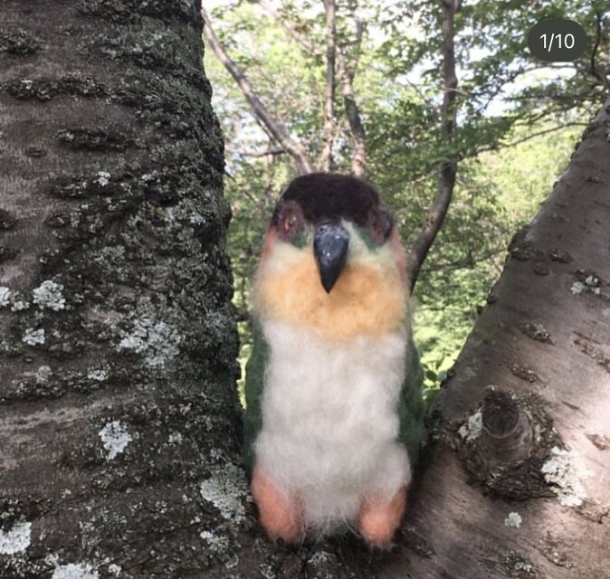 羊毛フェルトのインコ オーダーメイド | iichi 日々の暮らしを心地よく