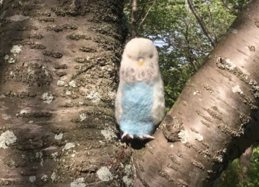 受注制作⭐︎羊毛フェルトのジャンボセキセイインコ オーダーメイド