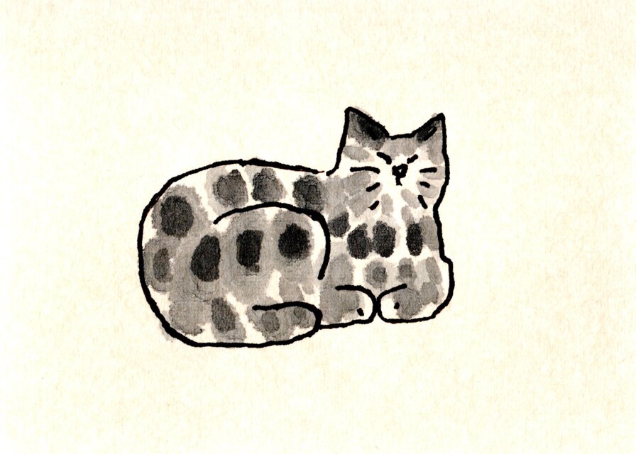 ポストカード 5枚セット｜猫のイラスト・絵葉書・メッセージカード