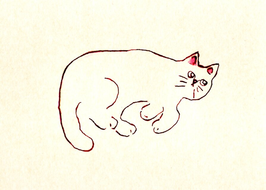 ポストカード 5枚セット｜猫のイラスト・絵葉書・メッセージカード