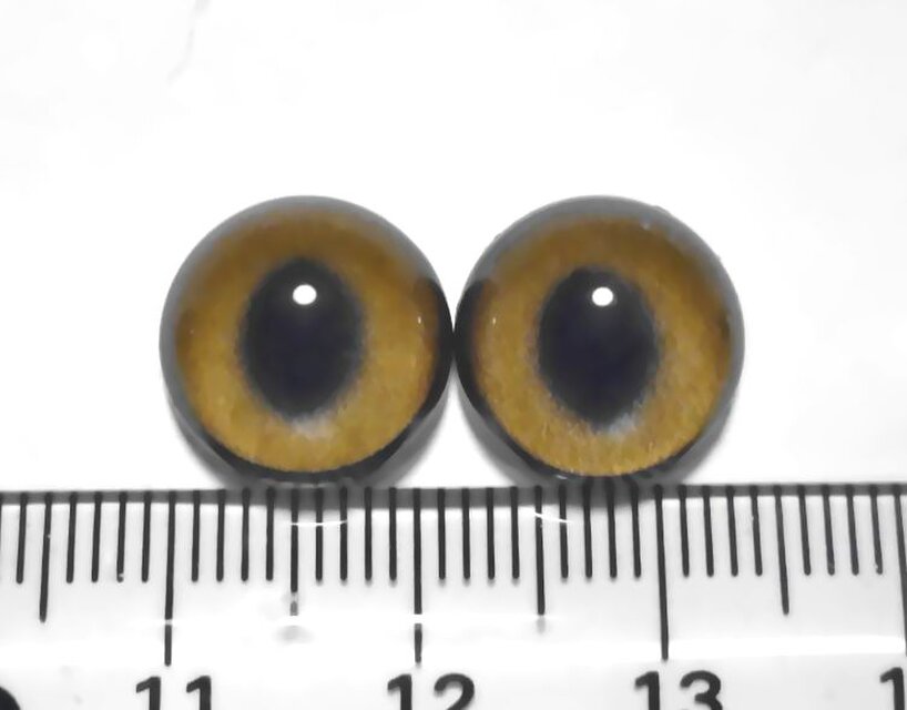 半球グラスアイ12ｍｍ○再販なし・売り切り一点もの○12-043