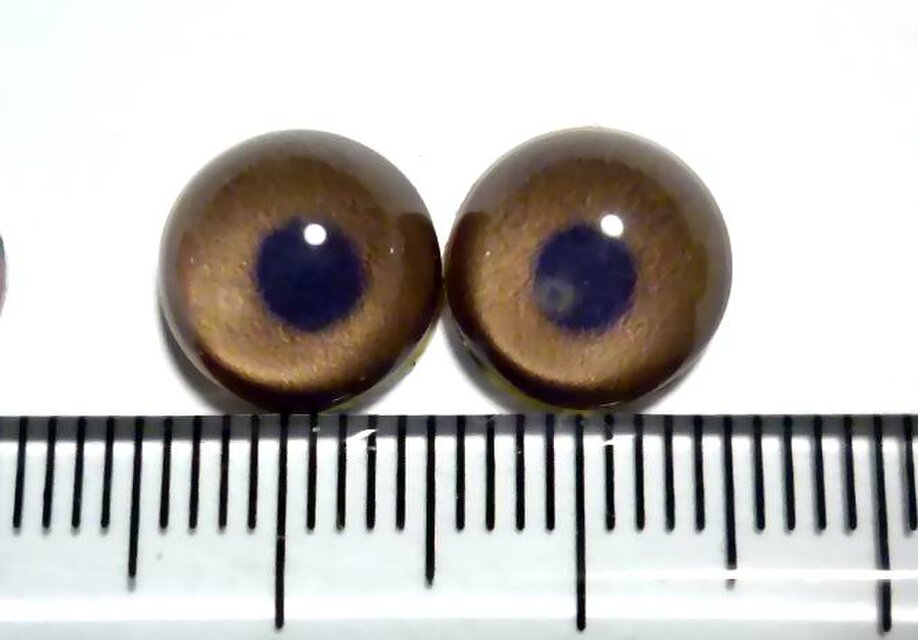 半球グラスアイ10ｍｍ○再販なし・売り切り一点もの○10-057