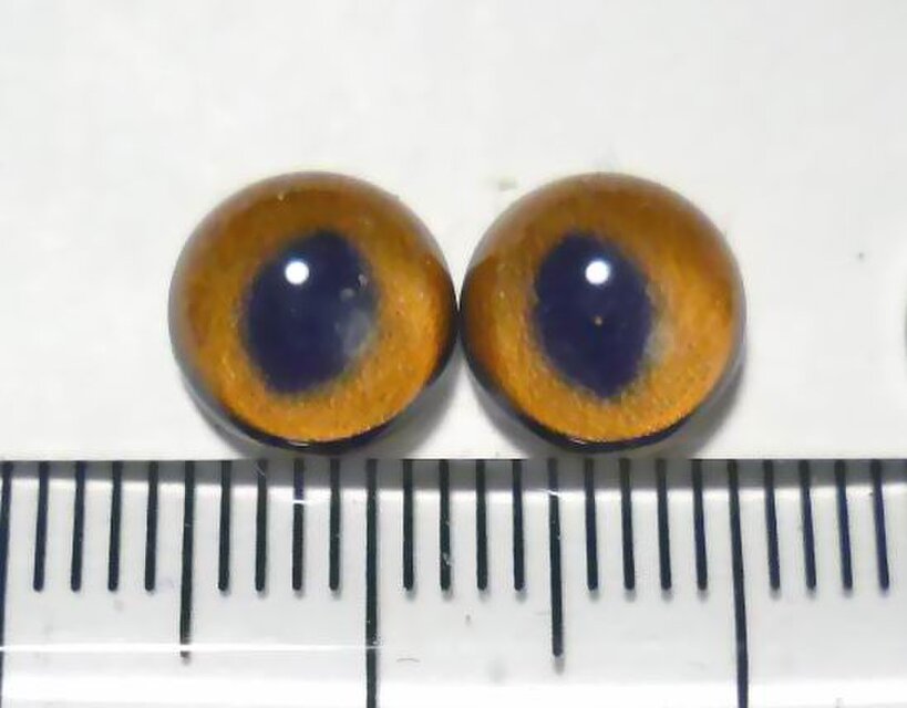 半球グラスアイ8ｍｍ○再販なし・売り切り一点もの○08-032