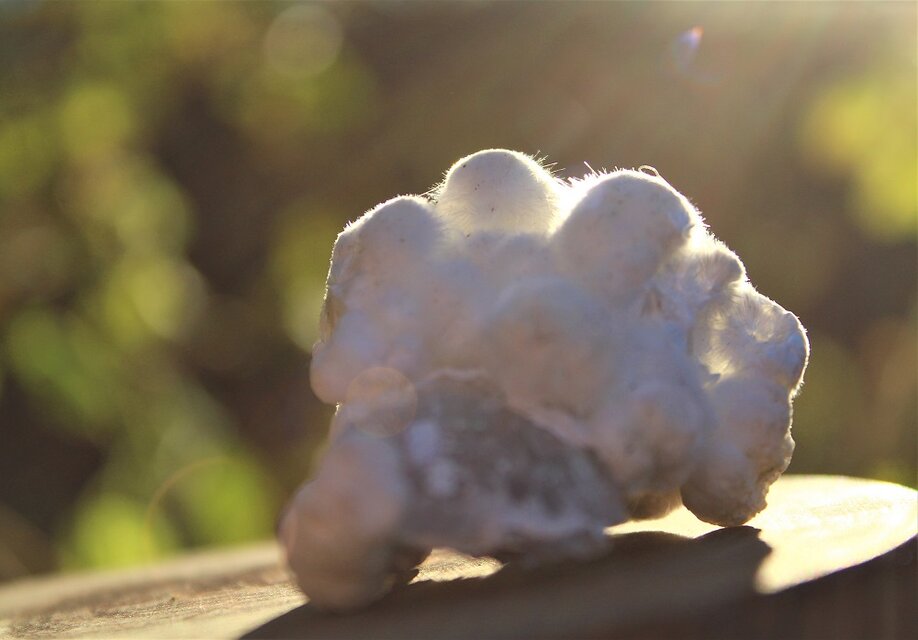 オケナイト(オーケン石） 原石 | iichi 日々の暮らしを心地よくする