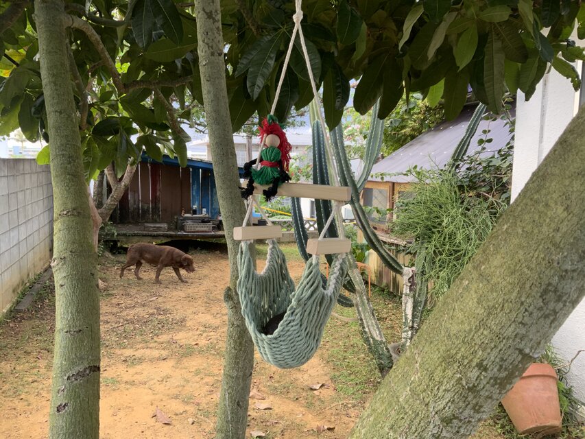 バナナストッカー「ビーンズ」