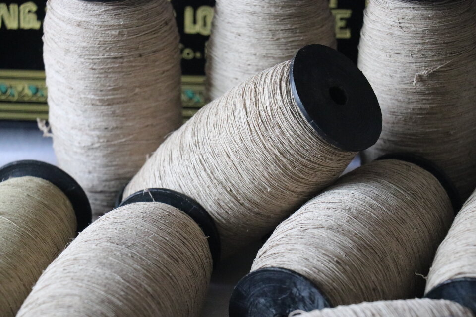 蓮糸(藕絲)Normal