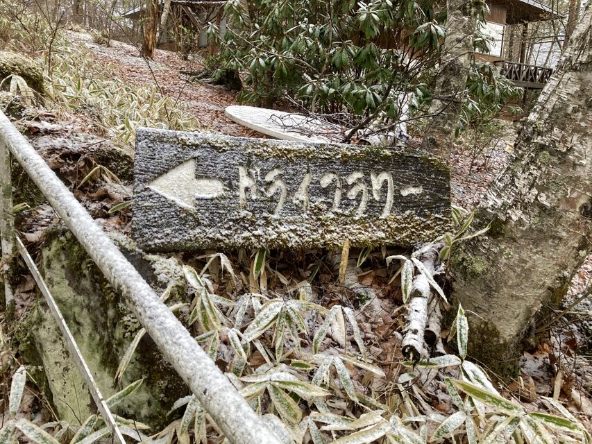 Chicco様専用送料込みページ