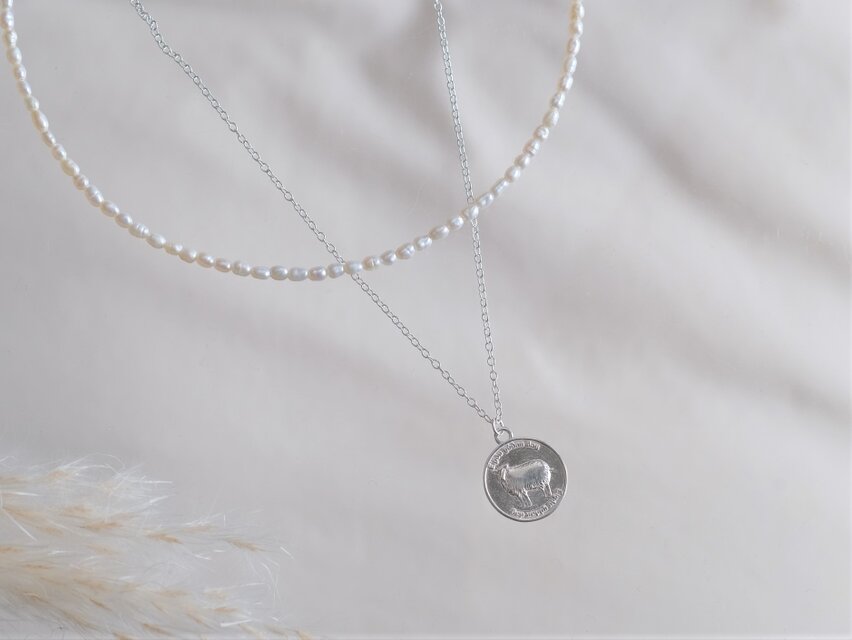 ネックレス２本セットEigðu góðan dag necklace silver羊コイン