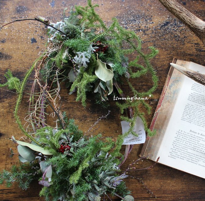 wreath [眠る森]№２ ユーカリの茎とグリーンのリース ドライフラワー ...