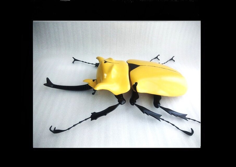 エレファスゾウカブト MEGA・BIG リアルフィギュア | iichi 日々の