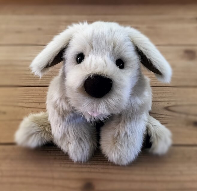 作家さま パトラン 犬 ぬいぐるみ ミニ 感動する抱き心地。重さ約1500gのパトラン（ミニ）/命の重みを感じる