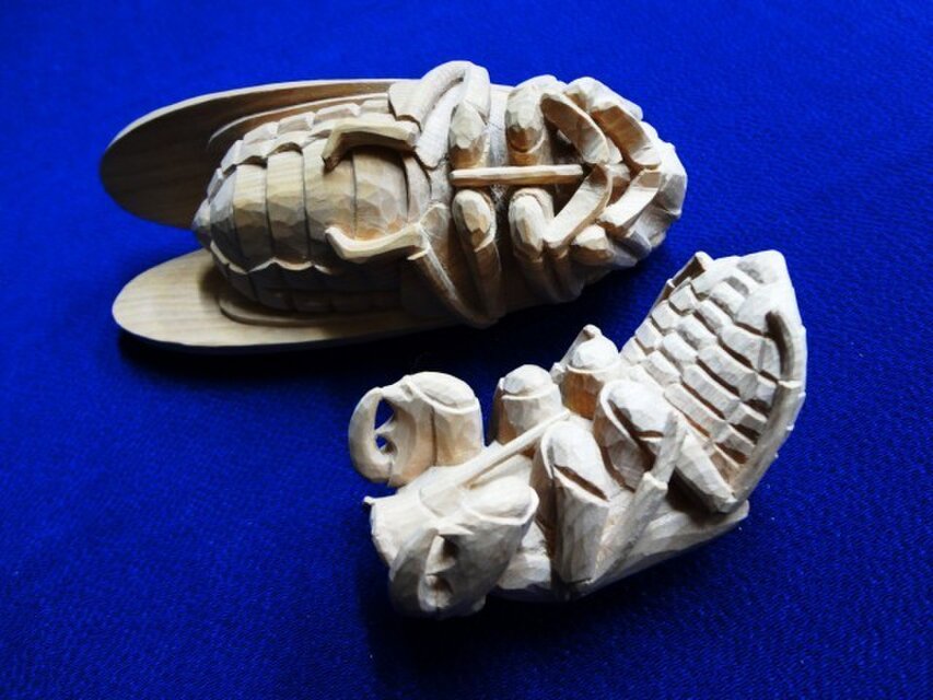 スペシャルな「蝉と空蝉」（ＳＵ－3）