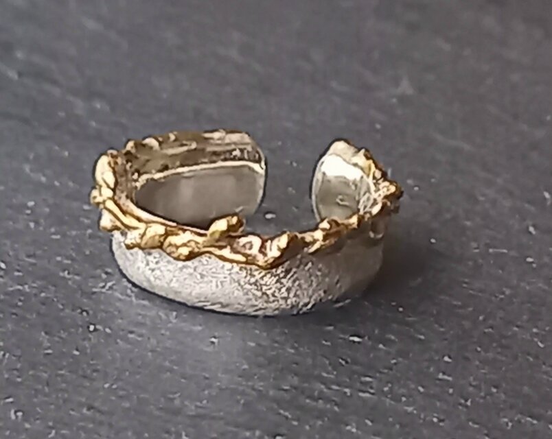 Utoka   ☆  silver× brass    蔓  イヤーカフ a