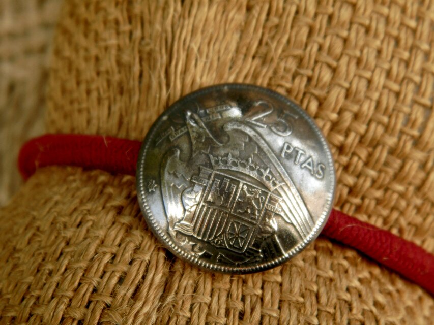 ＃H229 España Coin Hair Elastic